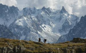 randonnées mont-blanc
